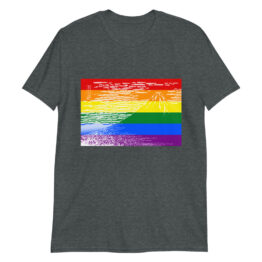 unisex-basic-softstyle-t-shirt-dark-heather-front-60f8bf77581b5.jpg